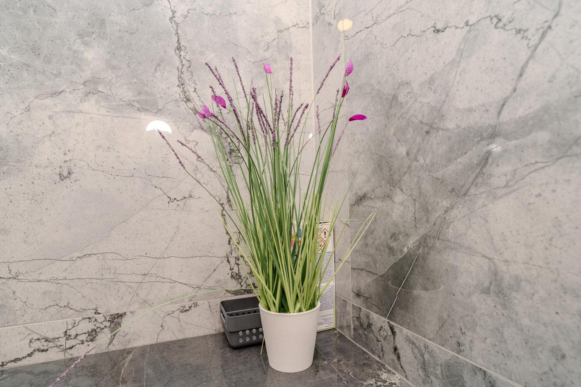 Dali II Apartment Новаля Екстериор снимка